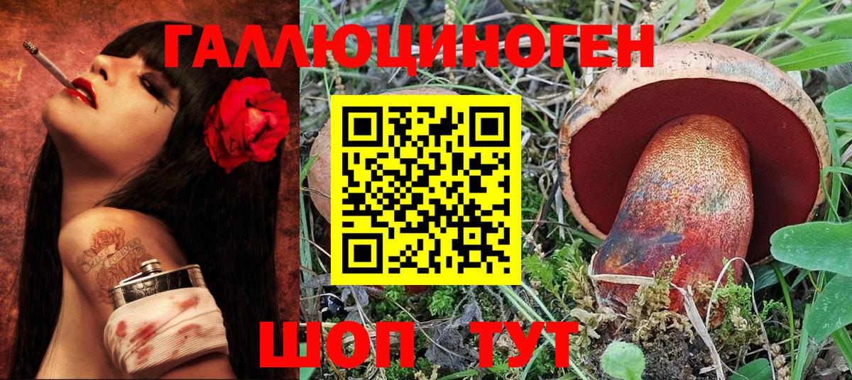 Галлюциногенные грибы Magic Shrooms  Галлюциногенные грибы Magic Shrooms  купить наркотик  Гусь-Хрустальный  Вход с VPN 